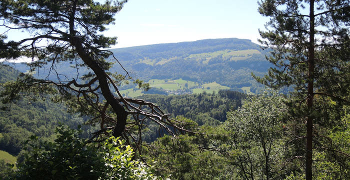 Ausblick aufs Thal