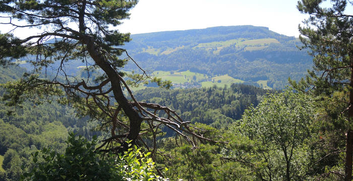 Landschaft im Thal © Pro Natura Solothurn
