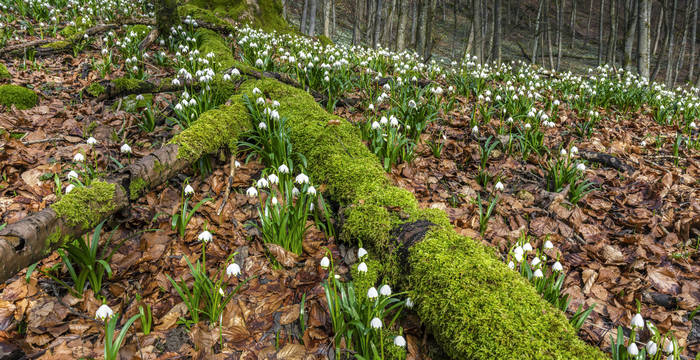 Mattentäli Walterswil © Andreas Gerth