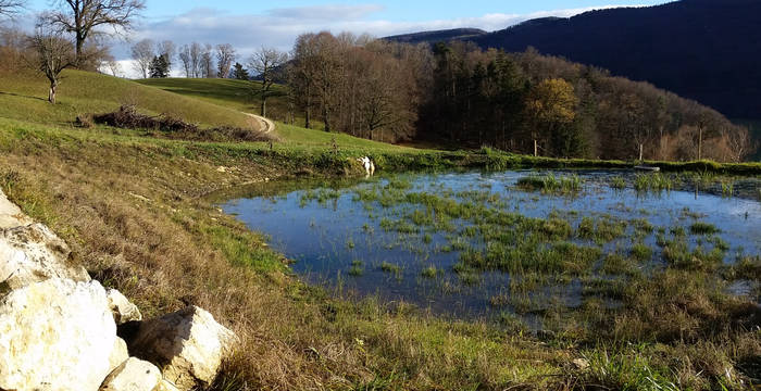 Weiher im Loch