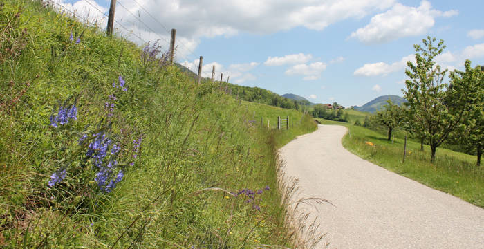 Blühendes Bord im Guldental