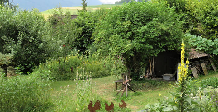 Vielfältiger Naturgarten