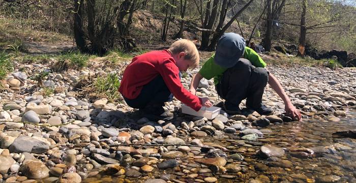 Kinder untersuchen Kleintiere am Bach