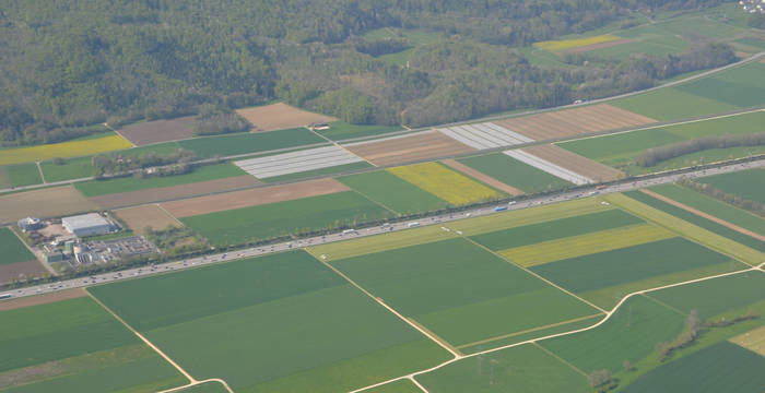 Autobahn A1 zwischen Oensingen und Oberbuchsiten