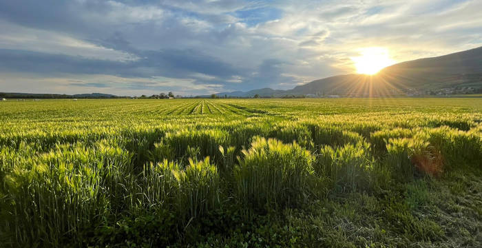 Kantonale Landwirtschafts- und Schutzzone Witi © Markus Dietschi