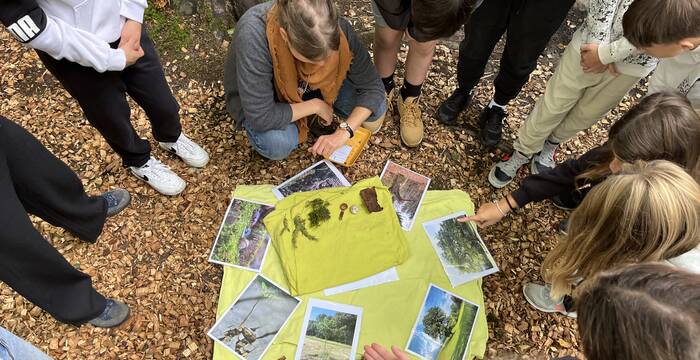 Suchauftrag Challenge für Jugendliche: Innerhalb von 30 Sekunden mussten Waldgegenstände gemerkt und anschliessend möglichst schnell in Gruppen gesucht werden