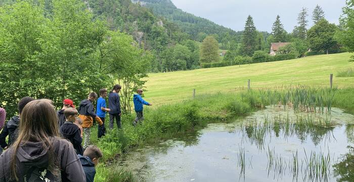 Jugendnaturschutzgruppe Thal