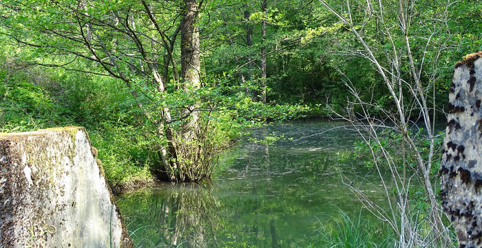 Weiher Kleinlützel