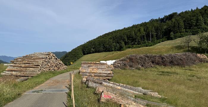 Hinterer Brandberg