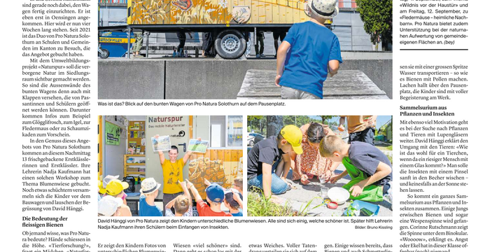 Solothurner Zeitung vom 26. August 2025 (Oensingen)