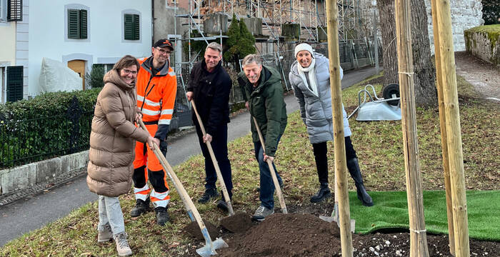 Baumpflanzung in Solothurn