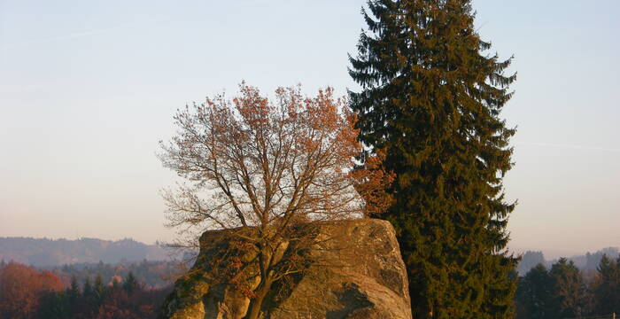 Die Grosse Flue auf dem Steinhof (Aeschi)