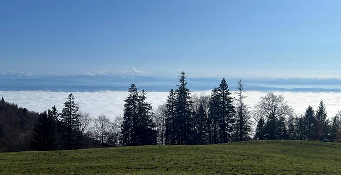 Nebelmeer Weissenstein