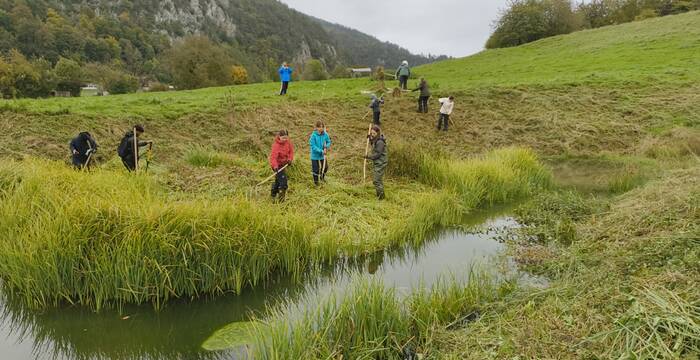 Weiher im Grüngi, Balsthal