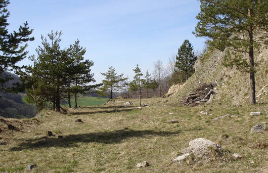 Gipsgrube Kienberg © Pro Natura Solothurn