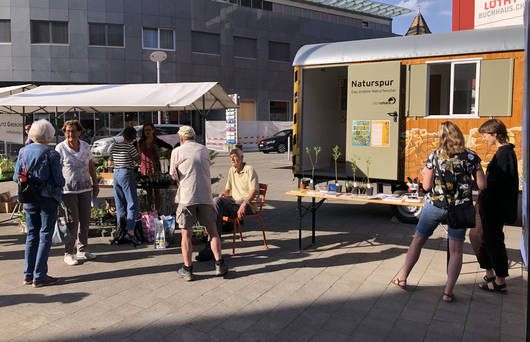 Naturspurwagen Frühlingsmarkt