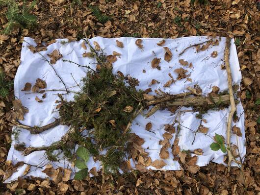 Landart Baumbild gelegt
