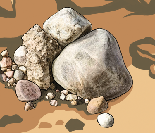 Klappe «Geburtshelferkröte»