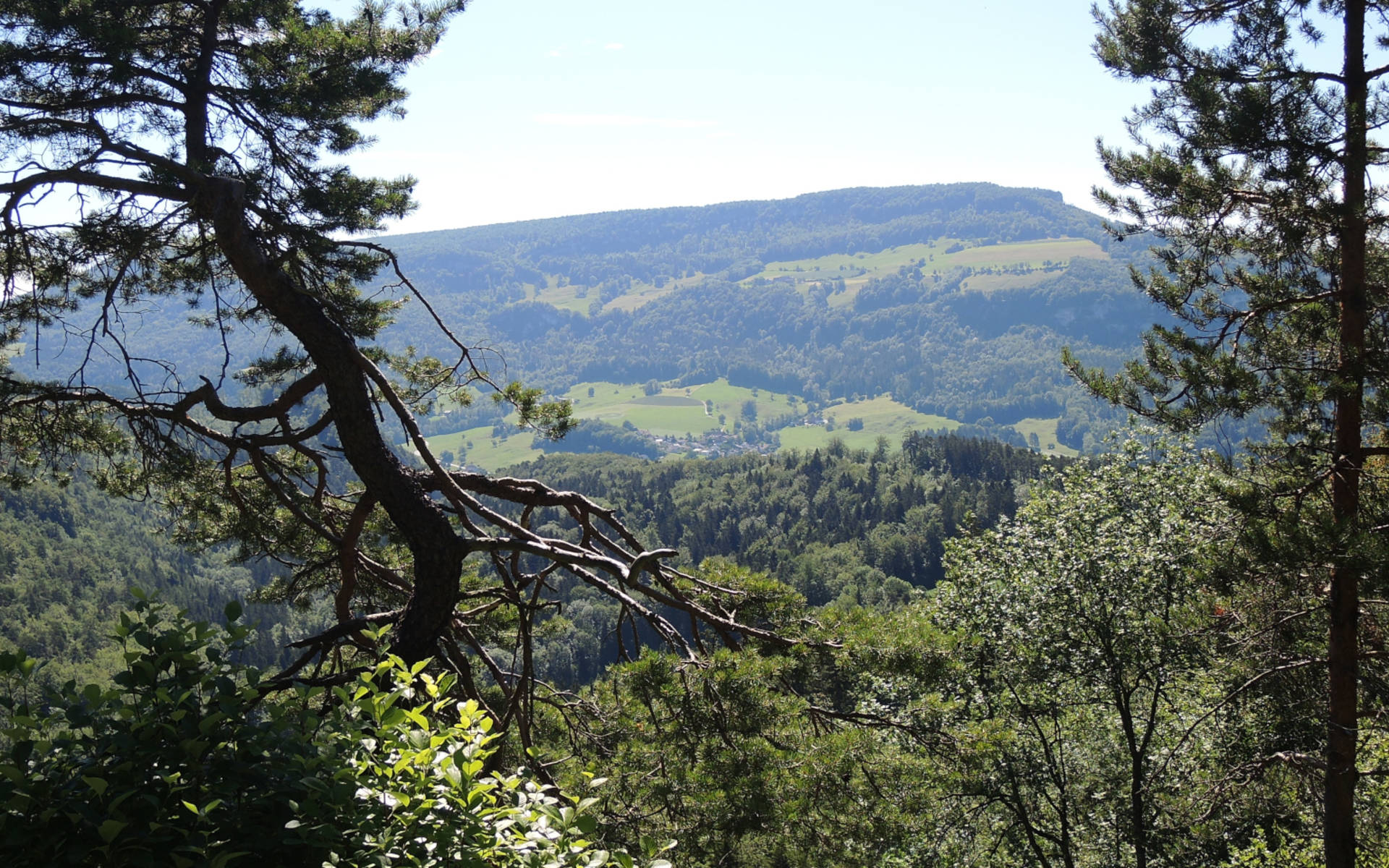 Ausblick aufs Thal © Pro Natura Solothurn