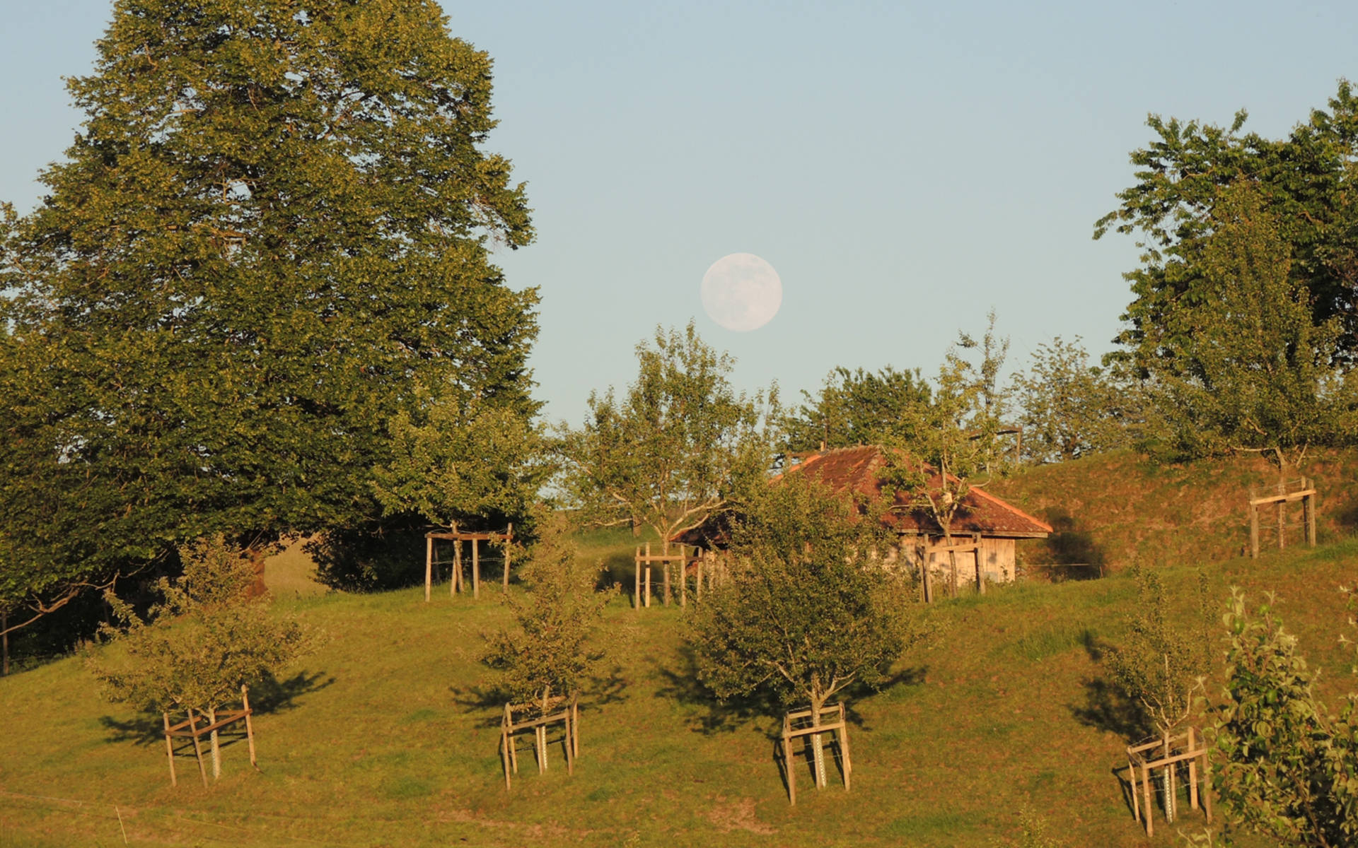 Hofstatt im Bucheggberg © Pro Natura Solothurn
