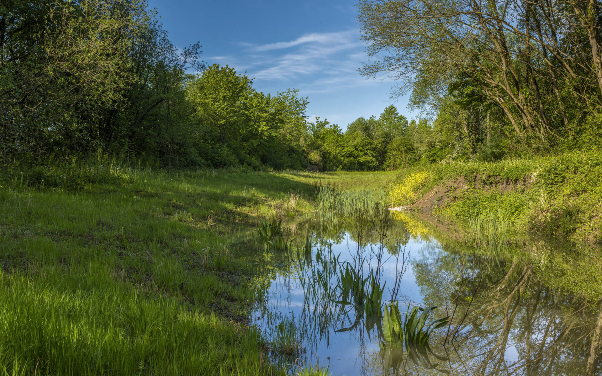 Wannengraben bei Selzach © Andreas Gerth