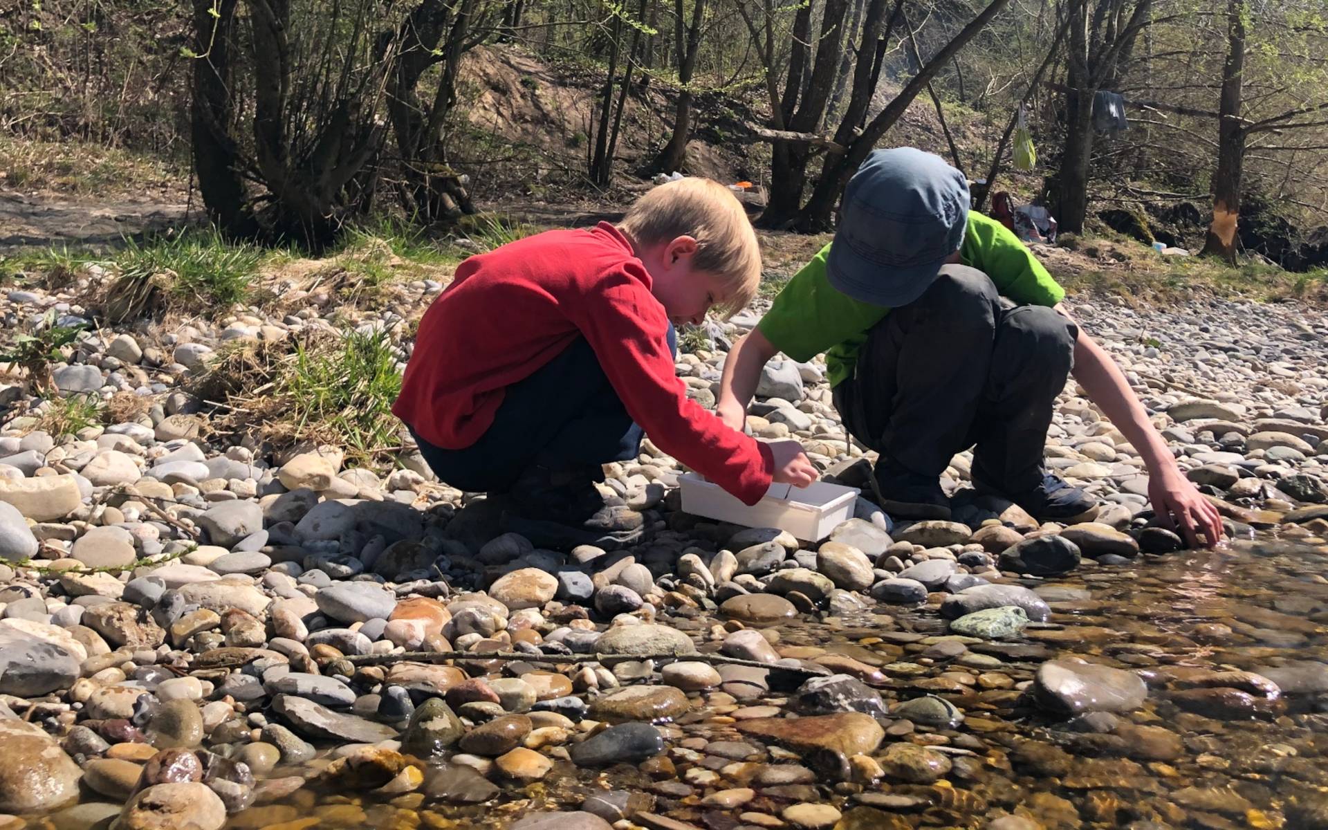 Kinder untersuchen Kleintiere am Bach