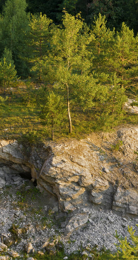 Gipsgrube Kienberg