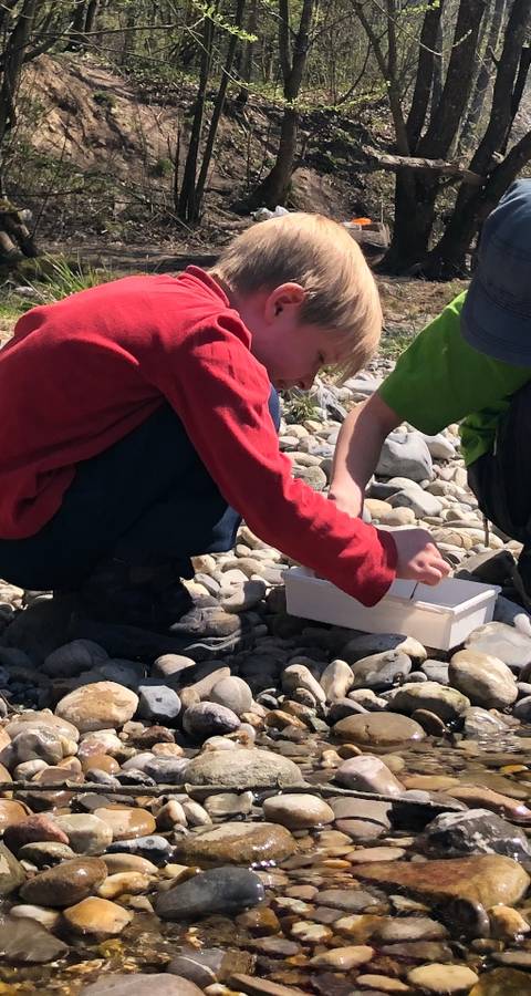 Kinder untersuchen Kleintiere am Bach