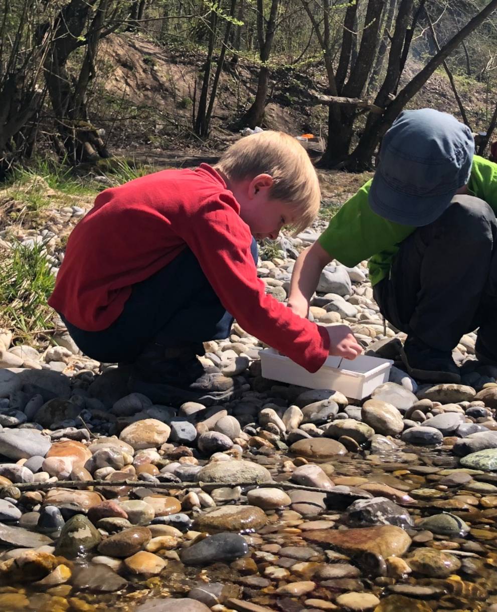 Kinder untersuchen Kleintiere am Bach