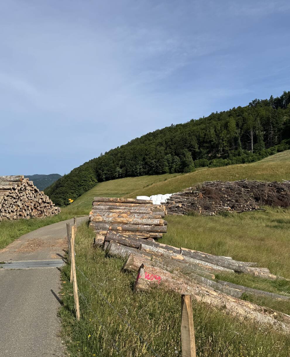 Hinterer Brandberg