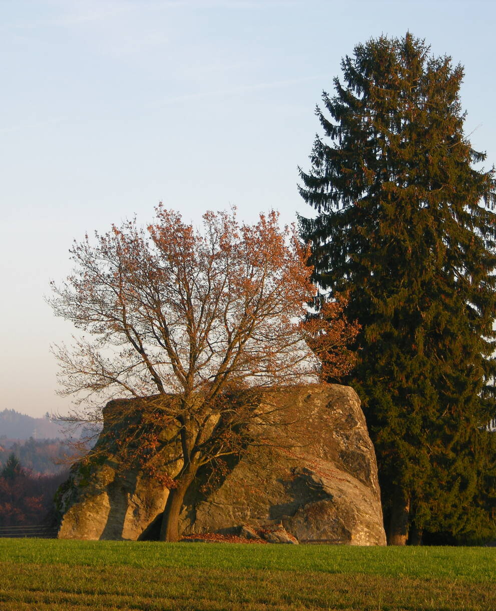 Die Grosse Flue auf dem Steinhof (Aeschi)