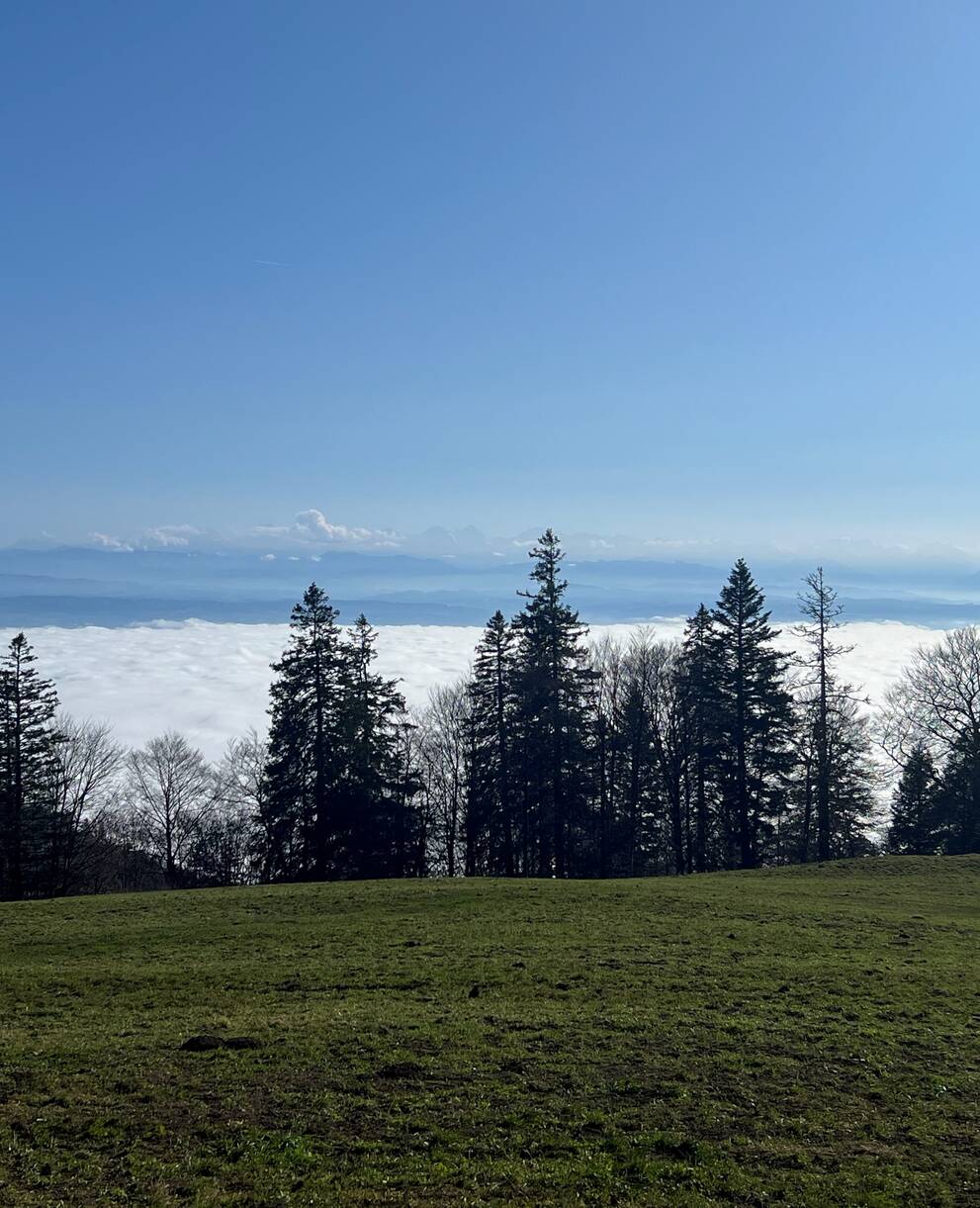 Nebelmeer Weissenstein