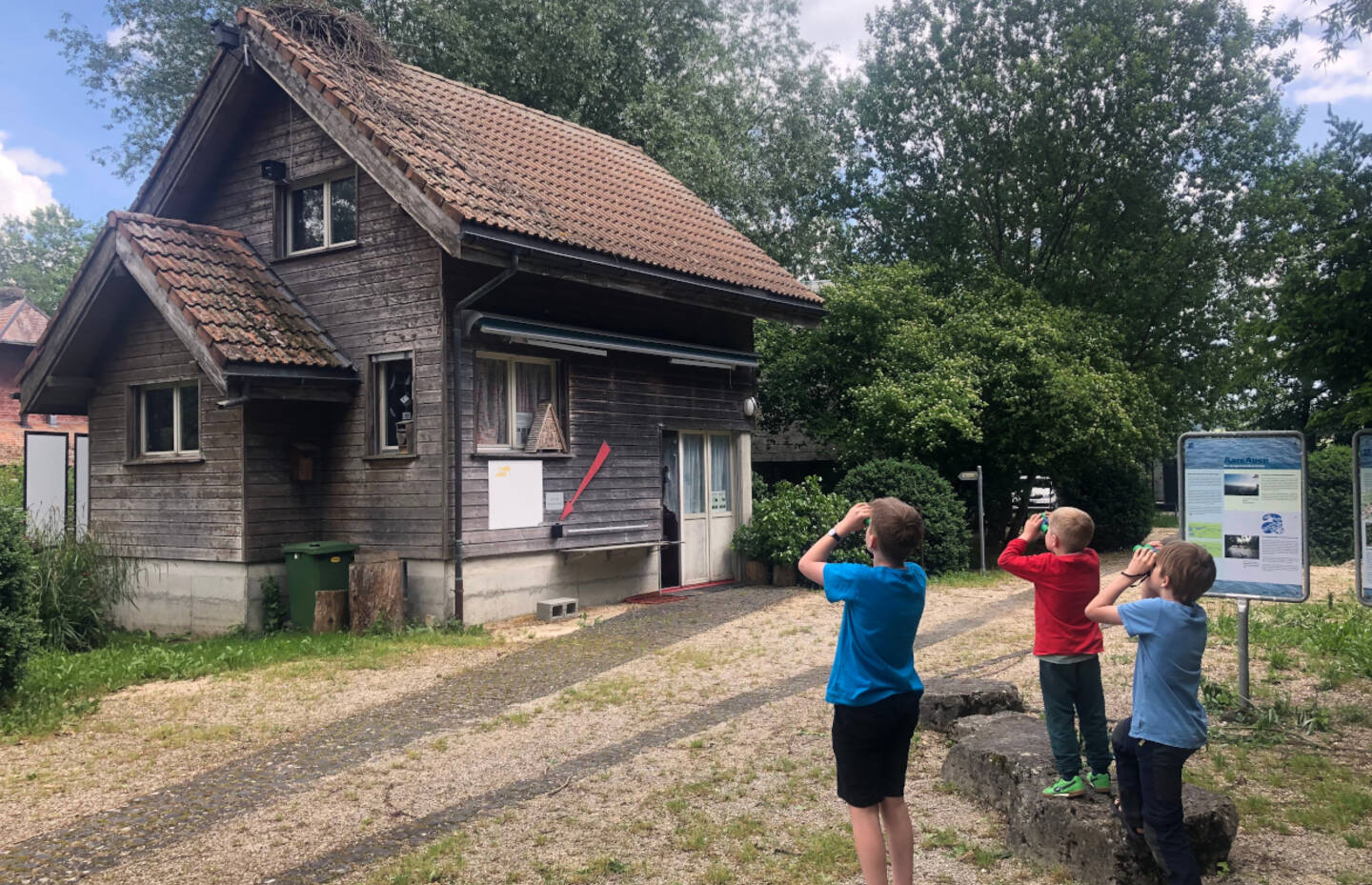 Kinder beobachen Storch