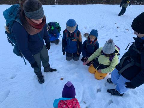 Anlass vom 24. Januar 2026 - Tierspuren im Winterwunderland