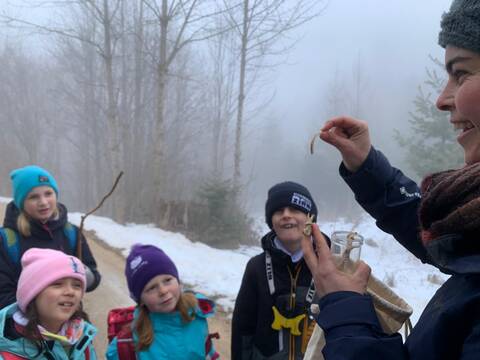 Anlass vom 24. Januar 2026 - Tierspuren im Winterwunderland