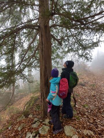 Anlass vom 24. Januar 2026 - Tierspuren im Winterwunderland
