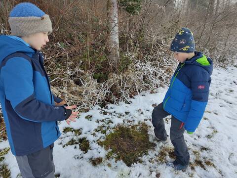 Anlass vom 24. Januar 2026 - Tierspuren im Winterwunderland