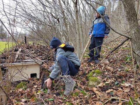 Nisthilfen für Vogel, Igel und Co.