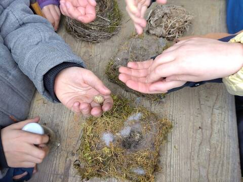 Nisthilfen für Vogel, Igel und Co.