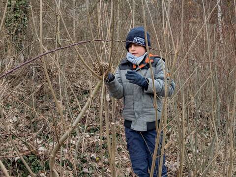 Nisthilfen für Vogel, Igel und Co.