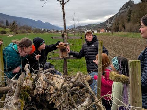 Nisthilfen für Vogel, Igel und Co.