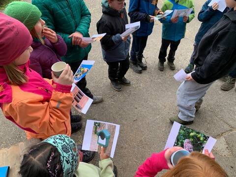 Nisthilfen für Vogel, Igel und Co.