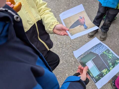 Nisthilfen für Vogel, Igel und Co.