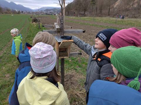 Nisthilfen für Vogel, Igel und Co.