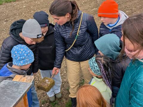Nisthilfen für Vogel, Igel und Co.